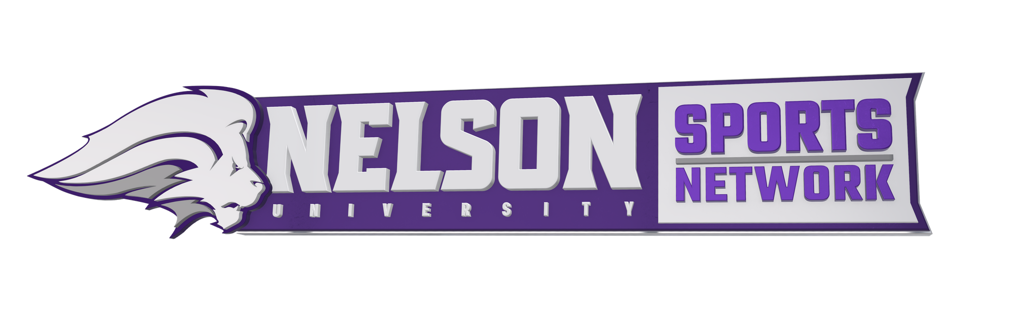 Logo and Brand Assets for Nelson University Sports Network