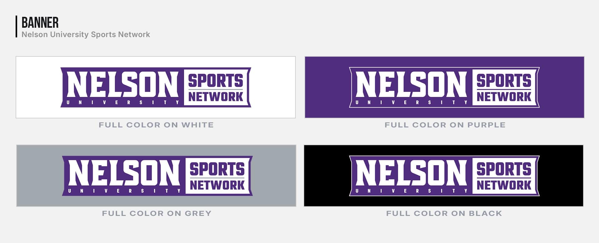 Logo and Brand Assets for Nelson University Sports Network