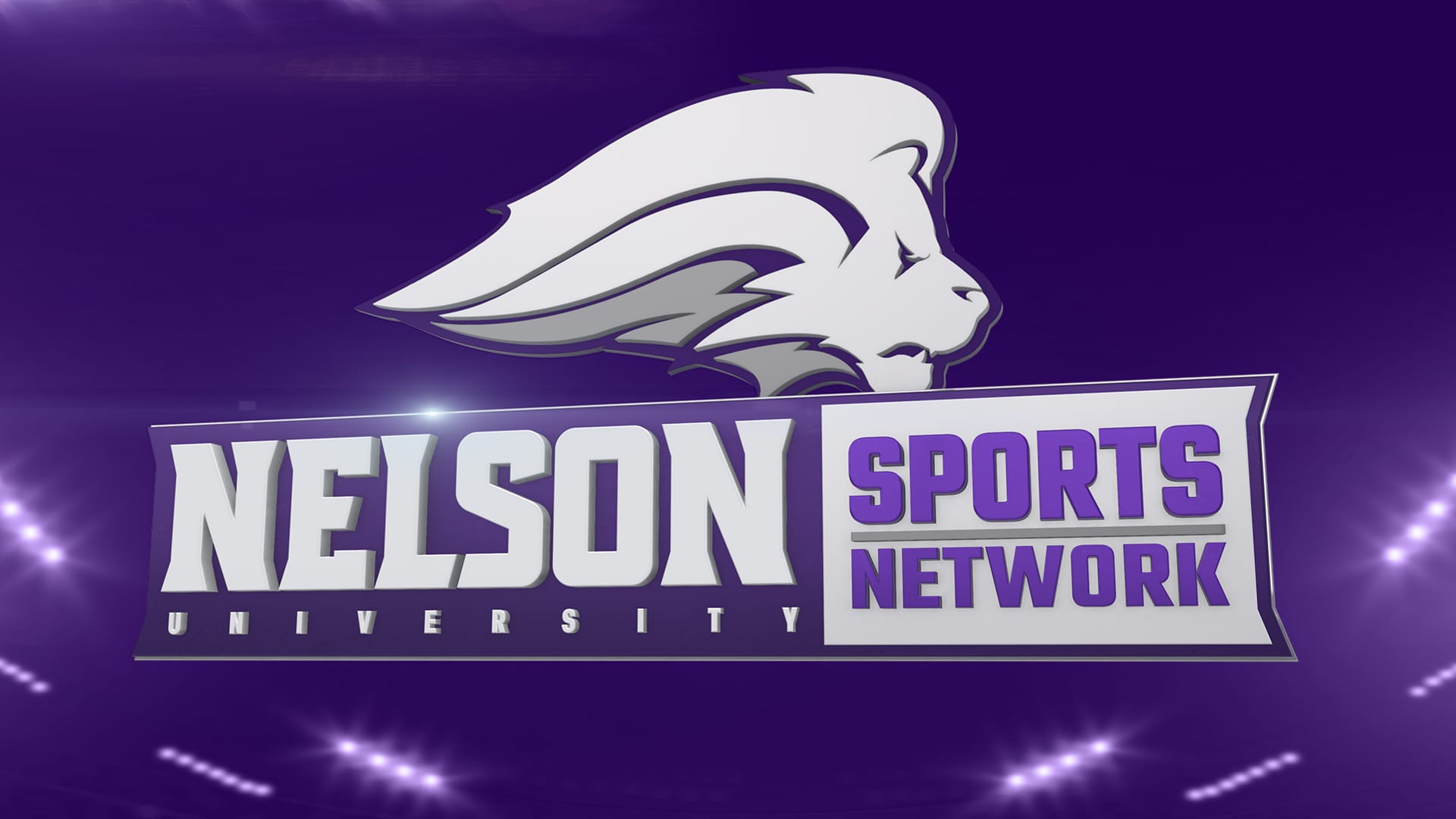 Logo and Brand Assets for Nelson University Sports Network